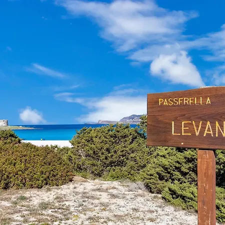 Casa Marina A 150mt Dalla Pelosa *